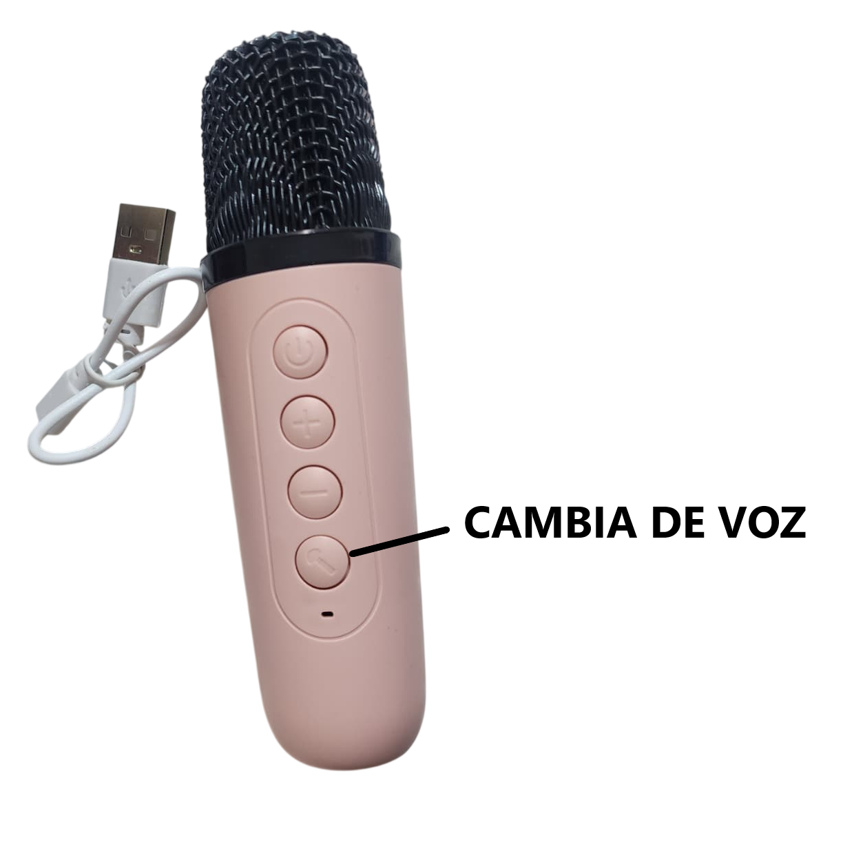 Parlante Bluetooth Karaoke con Micrófono
