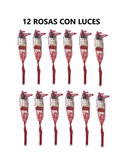 12 Rosas Con Oso Y Luces 3 Velocidades
