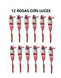 12 Rosas Con Oso Y Luces 3 Velocidades