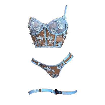 Sexy conjunto de lenceria transparente con encaje