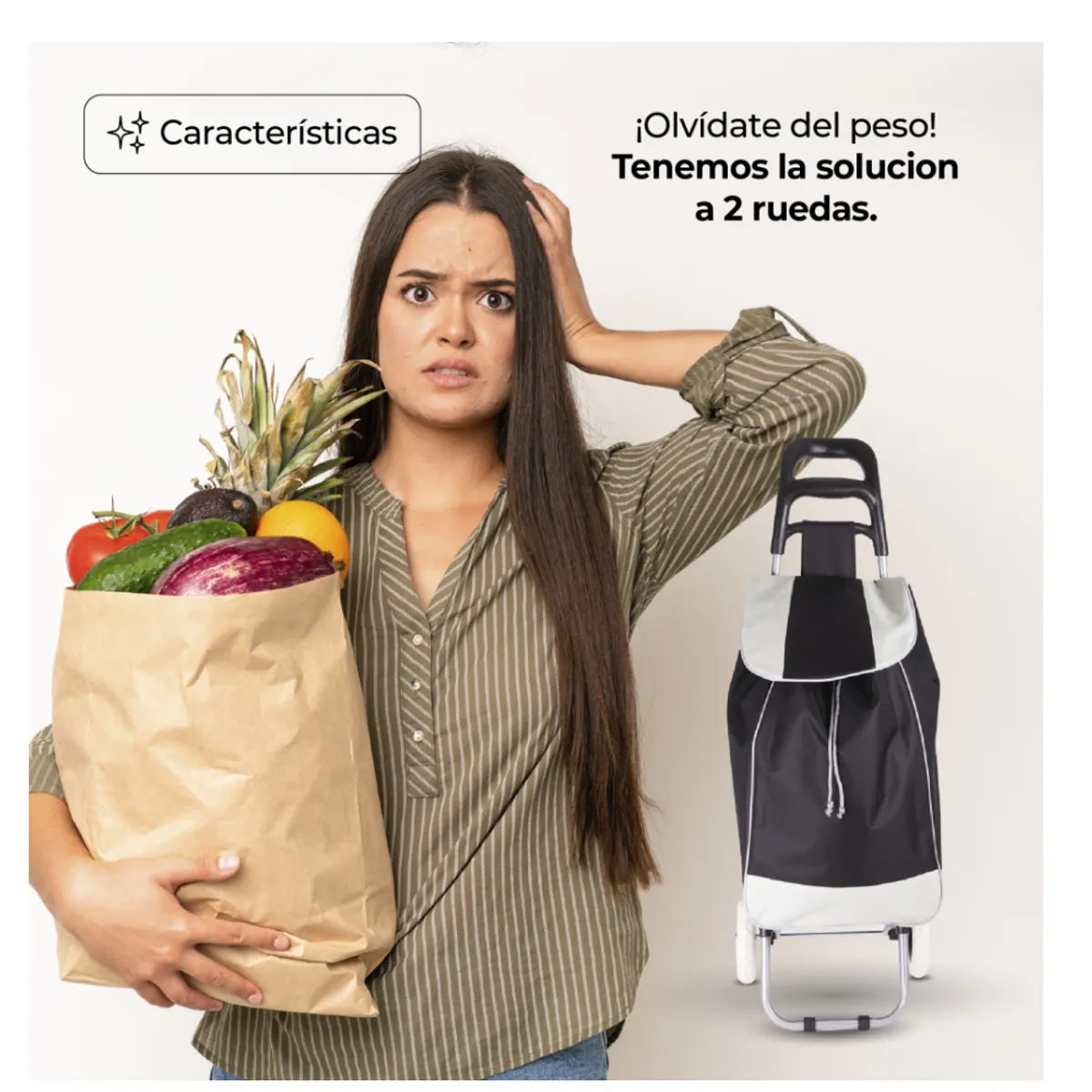 Pack x2 Carretas coches de mercado para transporte hasta 40kg